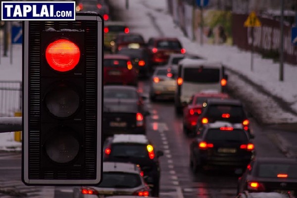 Cách học lái xe số tự động khi dừng đèn đỏ